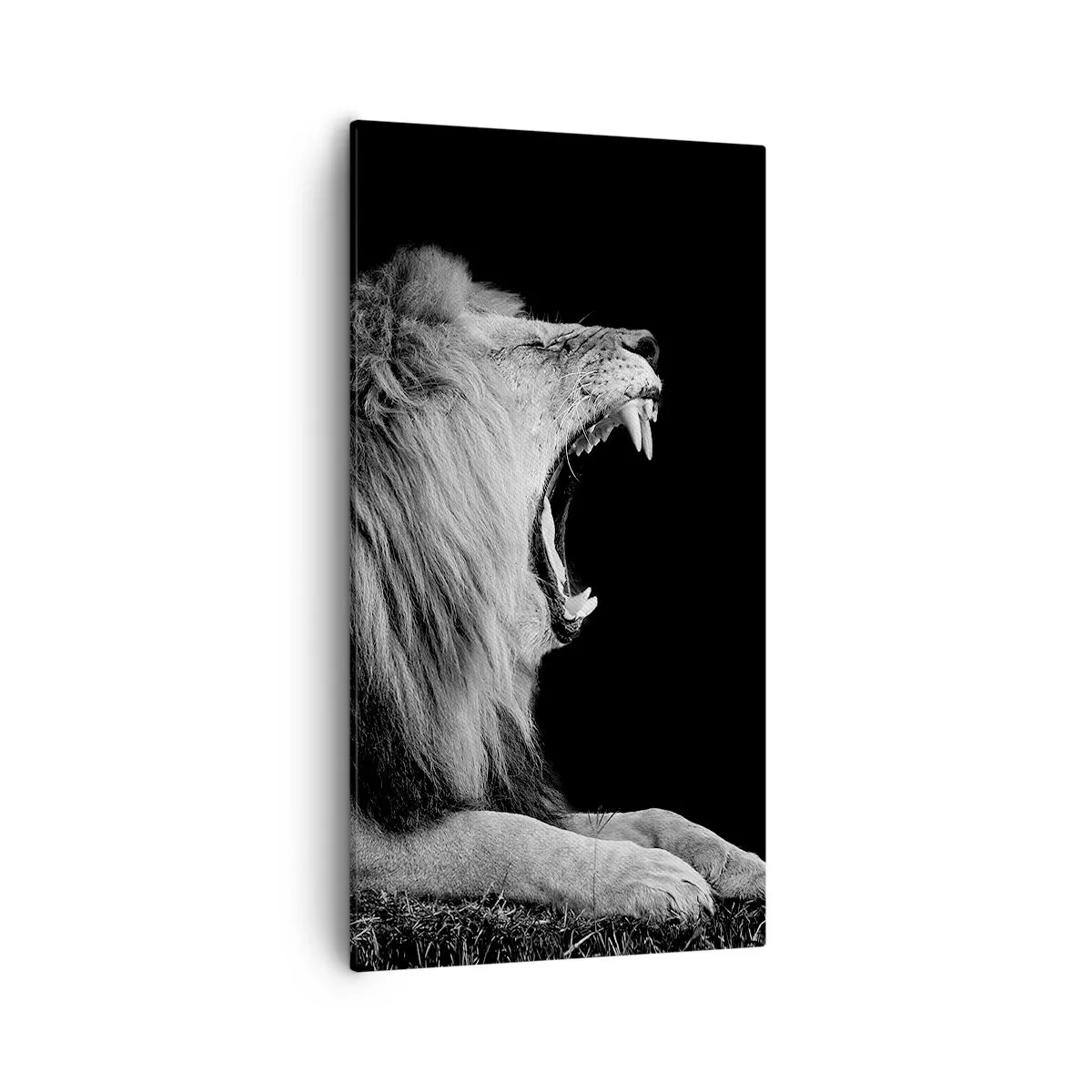 Impression sur toile - Image sur toile - Sans aucun doute - 55x100 cm