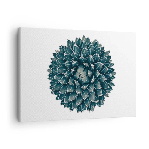 Impression sur toile - Image sur toile - Plante succulente symétrique sur fond blanc - 70x50cm - Étoile du désert - Décoration murale moderne pour le salon et la chambre ARTTOR