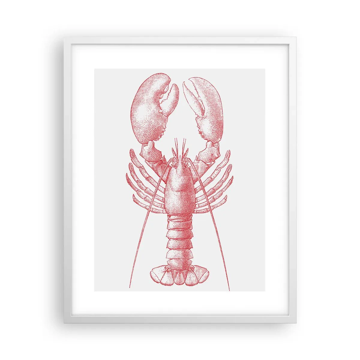 Affiche dans un cadre blanc - Poster - Un homard digne d'Homère - 40x50 cm