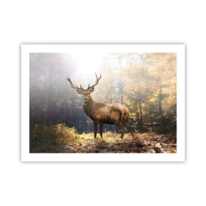 Affiche - Poster - Toute sa majesté - 70x50 cm