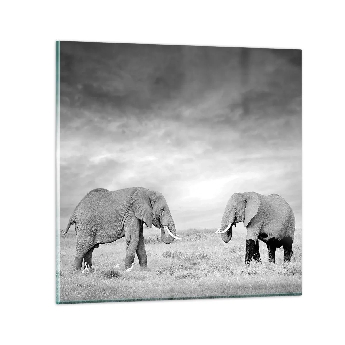 Impression sur verre - Image sur verre - Le gris est beau - 50x50 cm