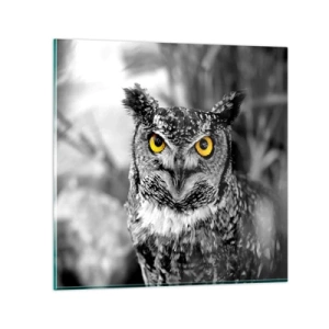 Impression sur verre - Image sur verre - Rien ne se cachera - 60x60 cm