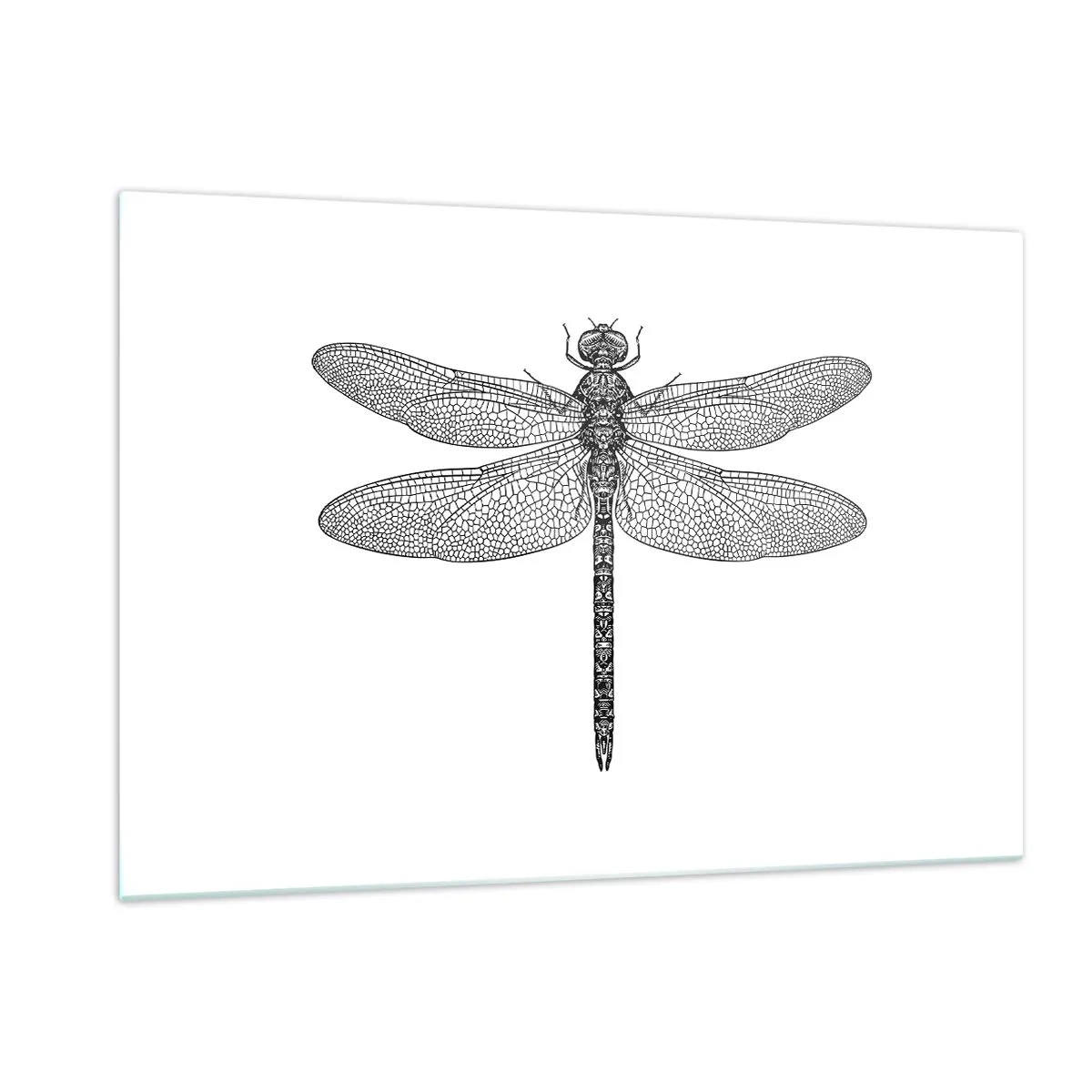 Impression sur verre - Image sur verre - Illustration détaillée d'une libellule dans un style de gravure sur fond blanc - 120x80cm - Précision de la nature - Décoration murale moderne pour le salon et la chambre ARTTOR