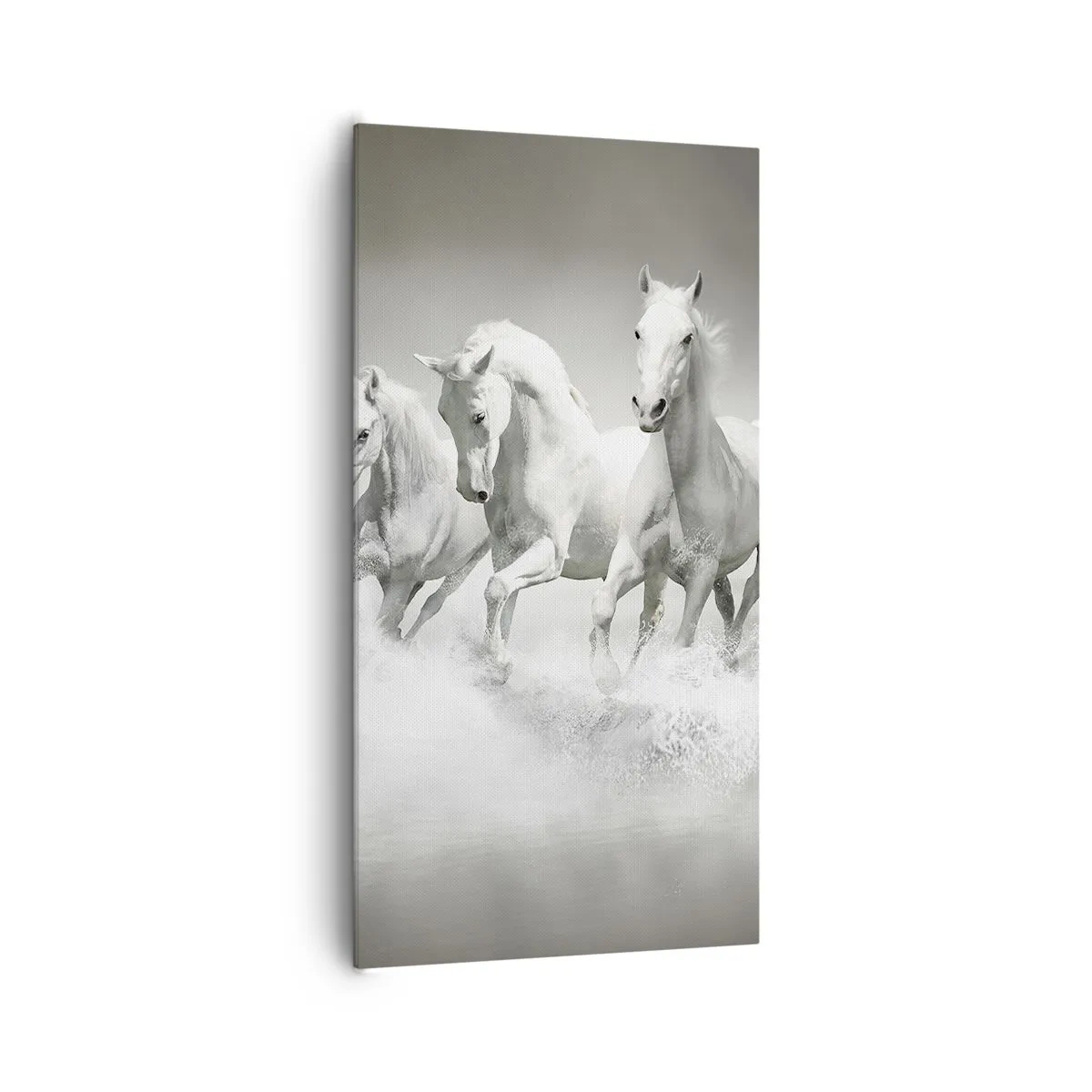 Impression sur toile - Image sur toile - La folie blanche - 65x120 cm