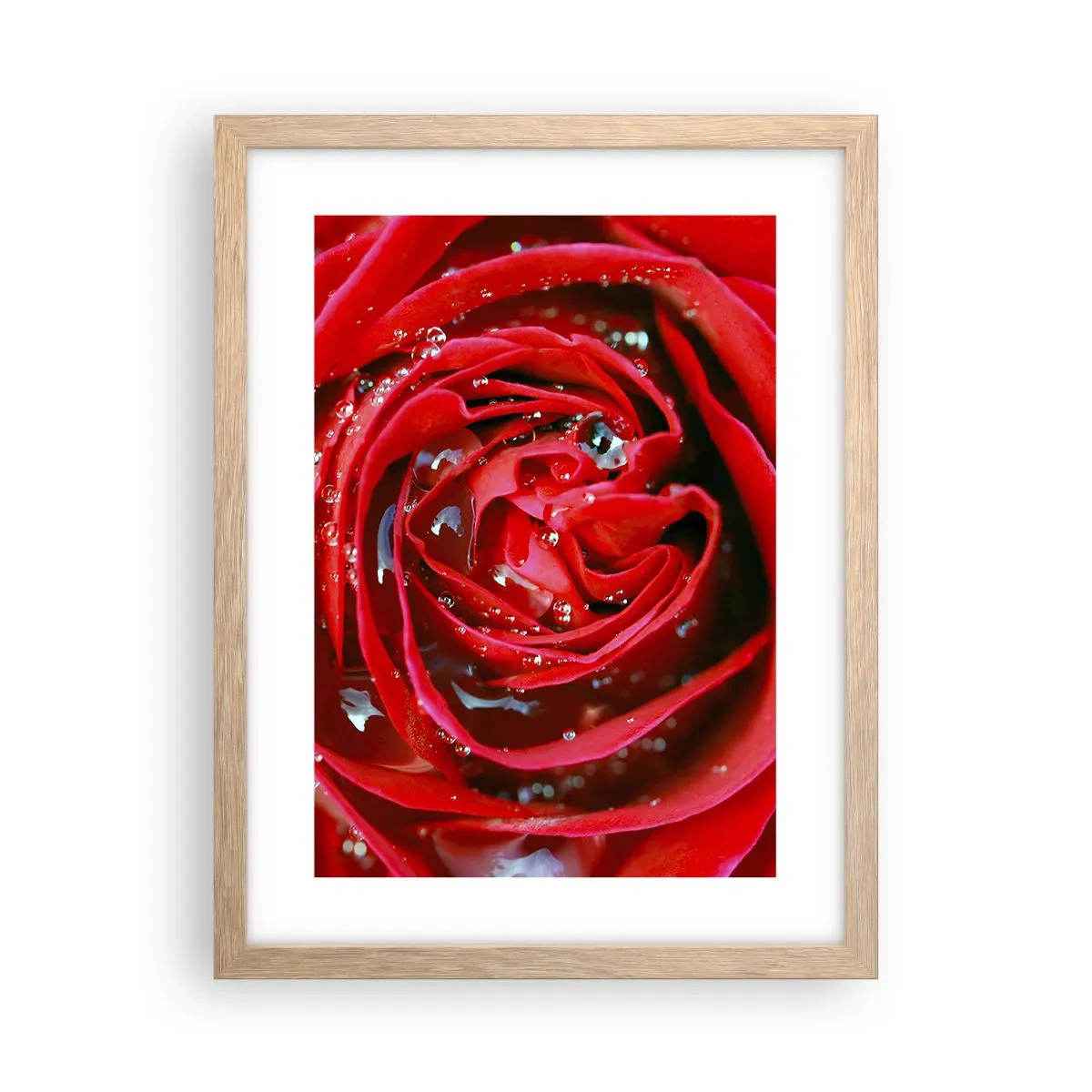 Affiche dans un chêne clair - Poster - Dans les gouttes de rosée - 30x40 cm