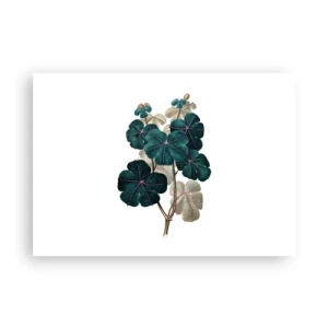 Affiche - Poster - Illustration botanique avec des feuilles dans les tons de vert et de beige - 100x70cm - De l'ancien herbier - Décoration murale moderne pour le salon et la chambre ARTTOR