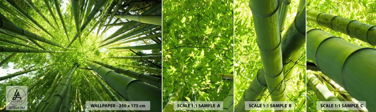 Échantillon de Papier Peint Autocollant Deluxe Sticker - Dans une bambouseraie - Foret de bambou, Jungle, Bambou - 100x30 cm