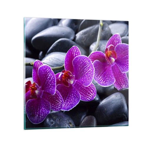 Impression sur verre - Image sur verre - Les pierres brillaient de joie - 40x40 cm