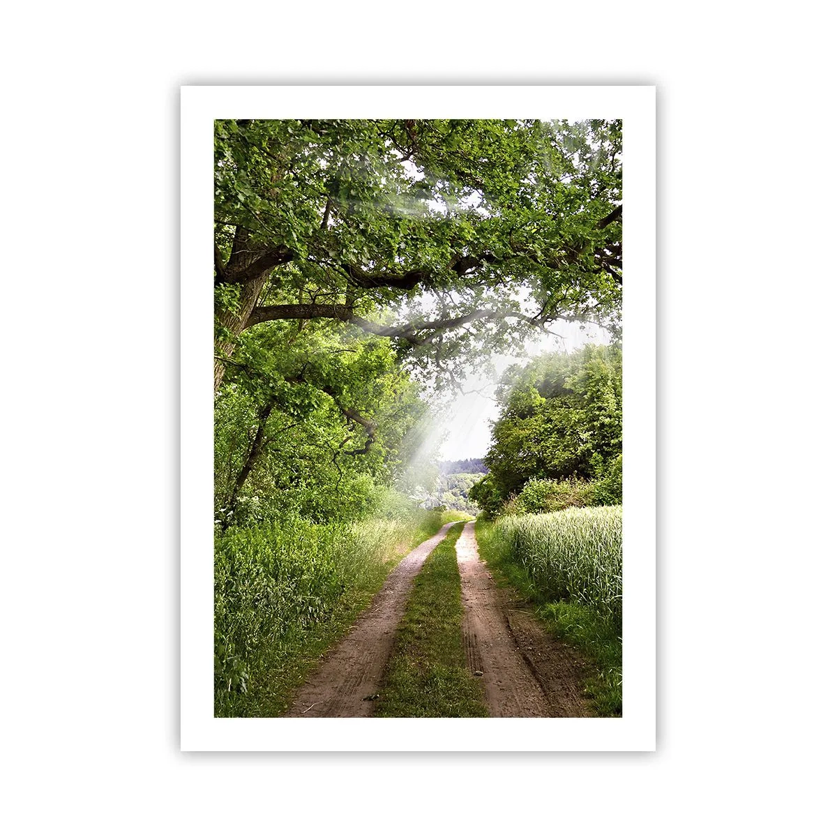 Affiche - Poster - Un chemin de terre ombragé entouré d'arbres verts luxuriants et de prairies - 50x70cm - Et in Arcadia ego - Décoration murale moderne pour le salon et la chambre ARTTOR
