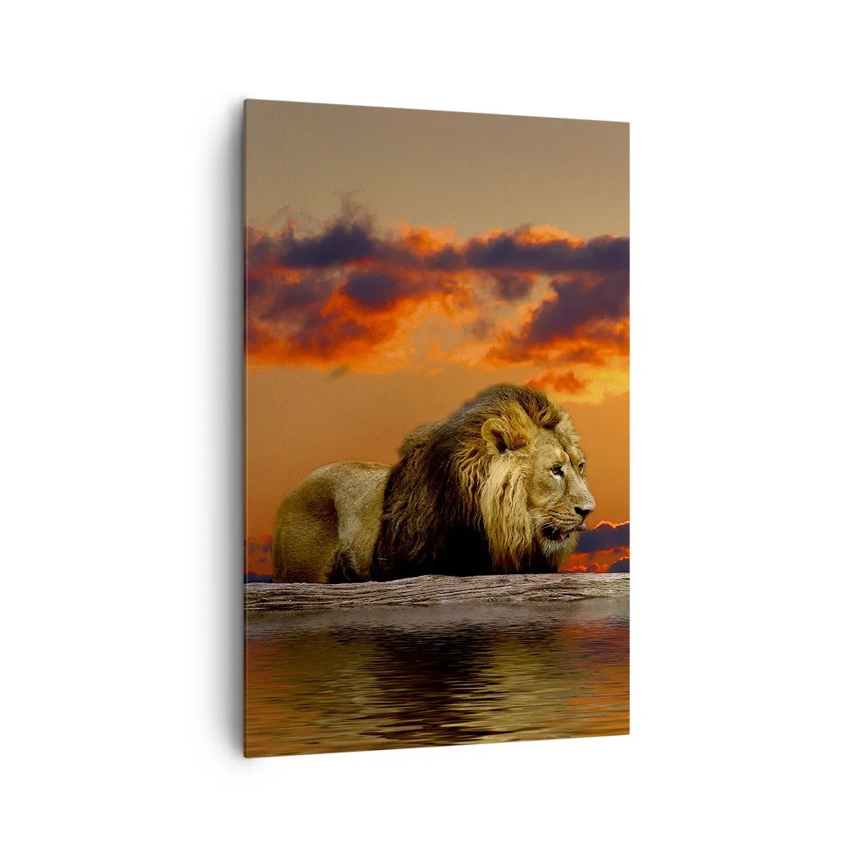 Impression sur toile - Image sur toile - Un lion se repose au bord de l'eau au coucher du soleil avec un ciel dramatique. - 80x120cm - Le roi de la nature - Décoration murale moderne pour le salon et la chambre ARTTOR