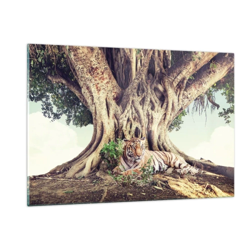 Impression sur verre - Image sur verre - Un tigre couché sous un arbre étendu dans la jungle - 120x80cm - Vue du Livre de la Genèse - Décoration murale moderne pour le salon et la chambre ARTTOR