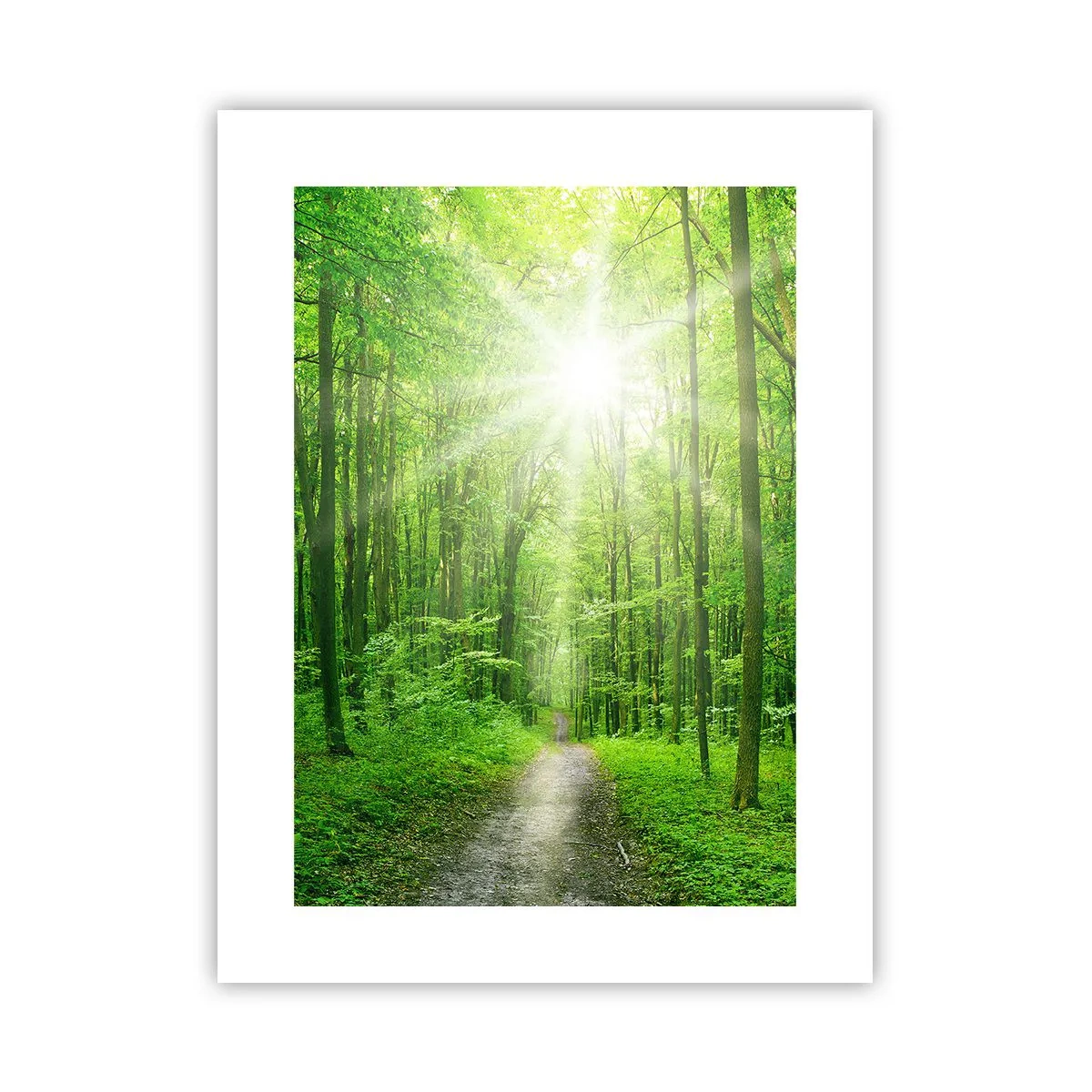 Affiche - Poster - Cathédrale verte - 30x40 cm