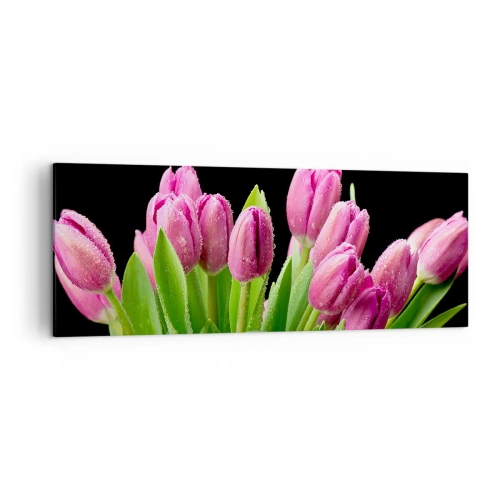Impression sur toile - Image sur toile - Tulipes roses avec des gouttes de rosée sur fond noir - 140x50cm - Joie printanière des lilas - Décoration murale moderne pour le salon et la chambre ARTTOR