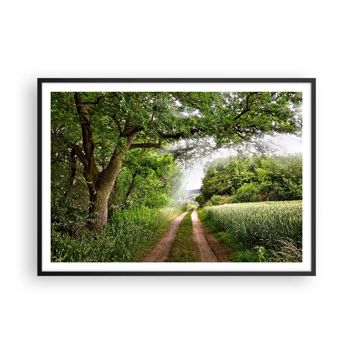 Affiche dans un cadre noir - Poster - Un chemin de terre parmi les arbres verts et la lumière du soleil - 100x70cm - Et in Arcadia ego - Décoration murale moderne pour le salon et la chambre ARTTOR