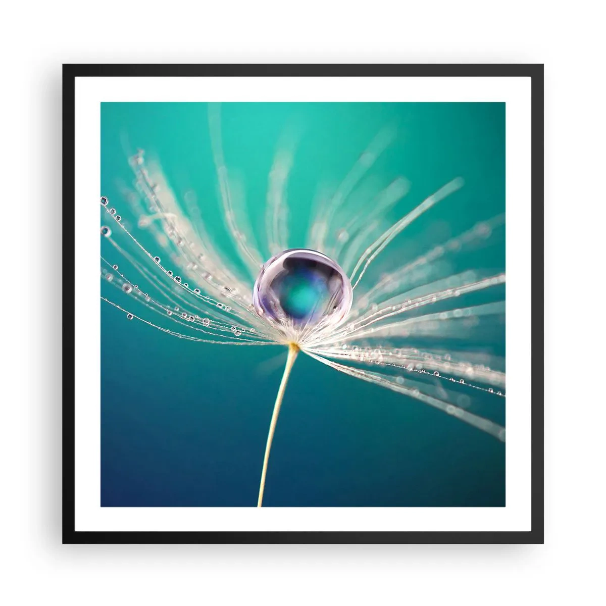 Affiche dans un cadre noir - Poster - Moment mystique - 60x60 cm