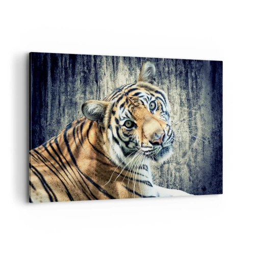 Impression sur toile - Image sur toile - Un tigre couché contre un mur à la texture rugueuse - 120x80cm - Portrait dans les flots de lumière - Décoration murale moderne pour le salon et la chambre ARTTOR