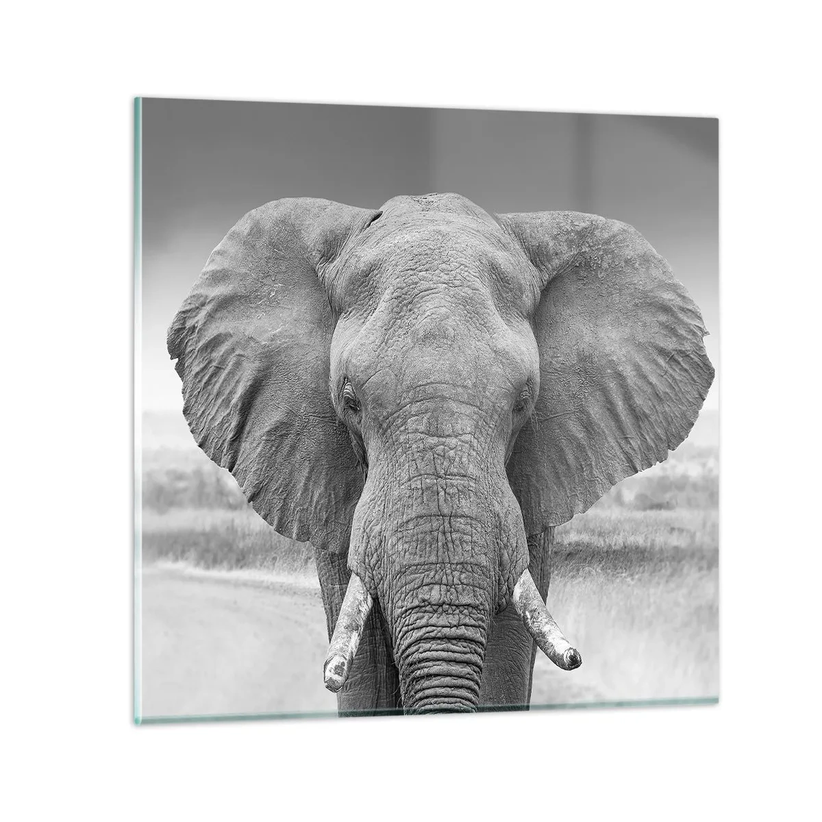 Impression sur verre - Image sur verre - Bienvenue dans mon monde - 50x50 cm