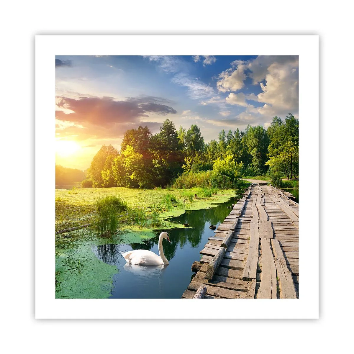 Affiche - Poster - L'été, l'été partout - 50x50 cm
