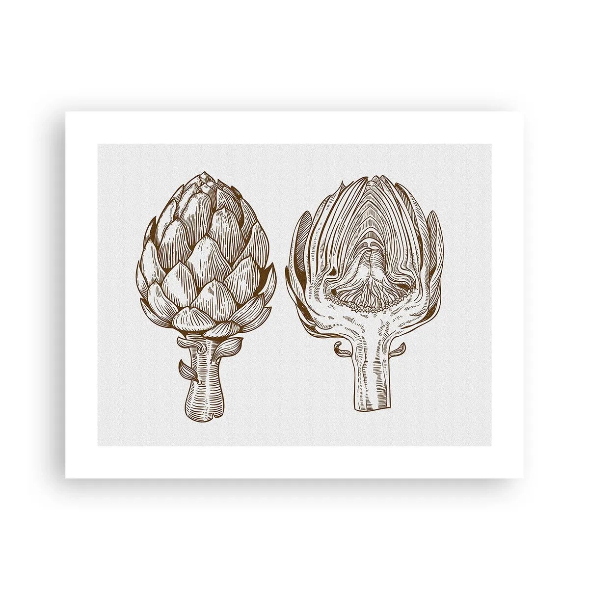 Affiche - Poster - Leçon d’anatomie - 50x40 cm