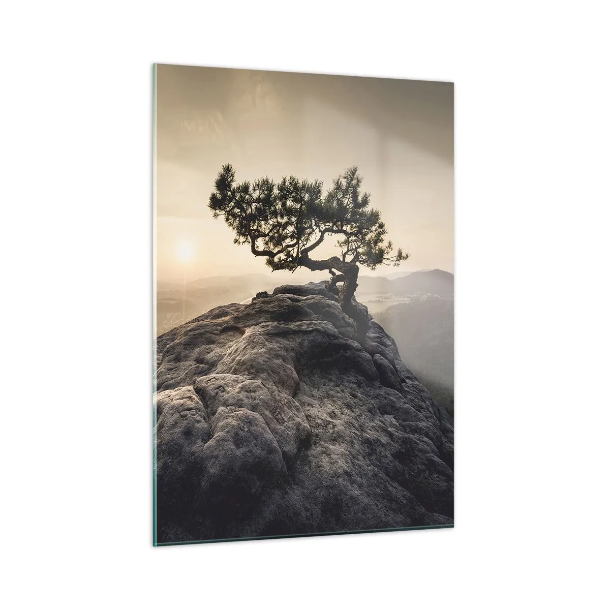 Impression sur verre - Image sur verre - Un arbre sur un rocher à la lumière du soleil levant - 50x70cm - La vie gagne toujours - Décoration murale moderne pour le salon et la chambre ARTTOR