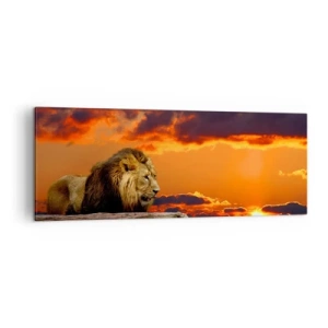 Impression sur toile - Image sur toile - Un lion se repose au bord de l'eau au coucher du soleil avec un ciel dramatique. - 140x50cm - Le roi de la nature - Décoration murale moderne pour le salon et la chambre ARTTOR