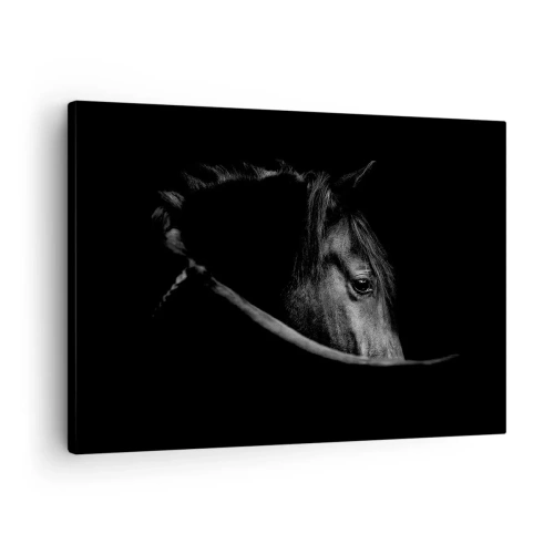 Impression sur toile - Image sur toile - Portrait en noir et blanc d'un cheval avec un jeu subtil de lumière et d'ombre sur un fond sombre. - 70x50cm - Prince Noir - Décoration murale moderne pour le salon et la chambre ARTTOR