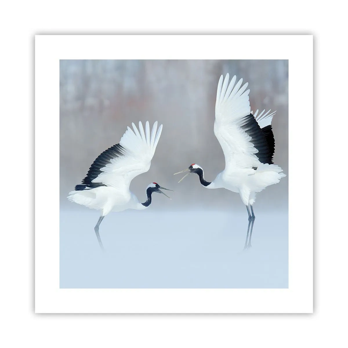 Affiche - Poster - Danse dans le brouillard - 40x40 cm