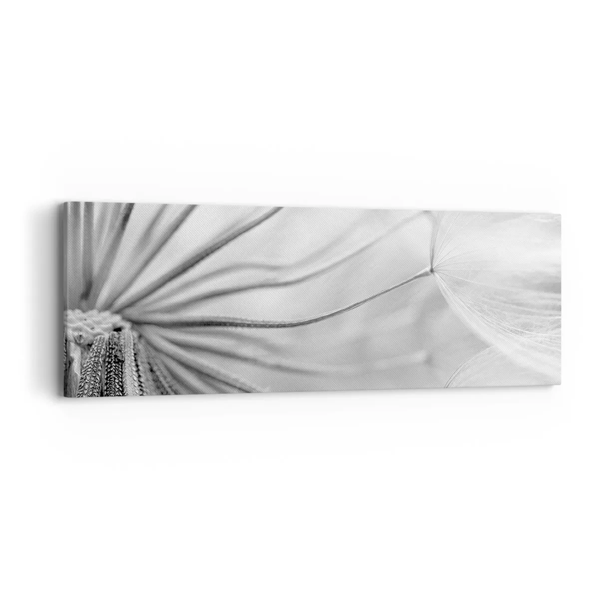 Impression sur toile - Image sur toile - Aigrette avant son envol - 90x30 cm