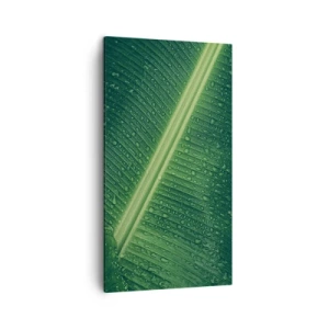 Impression sur toile - Image sur toile - Structure de vert - 45x80 cm