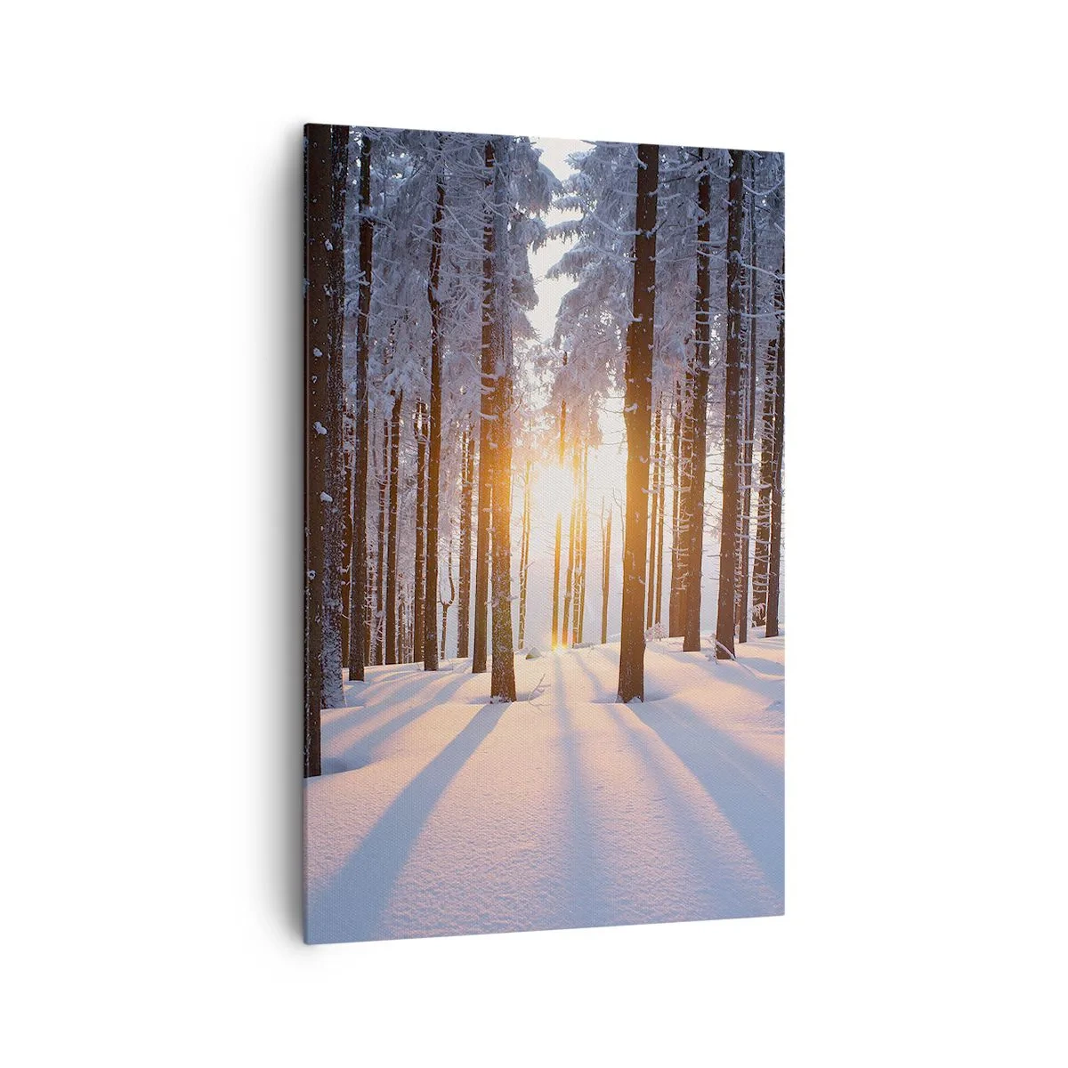 Impression sur toile - Image sur toile - Forêt d'hiver illuminée par les rayons du soleil - 80x120cm - Clairement en noir et blanc - Décoration murale moderne pour le salon et la chambre ARTTOR