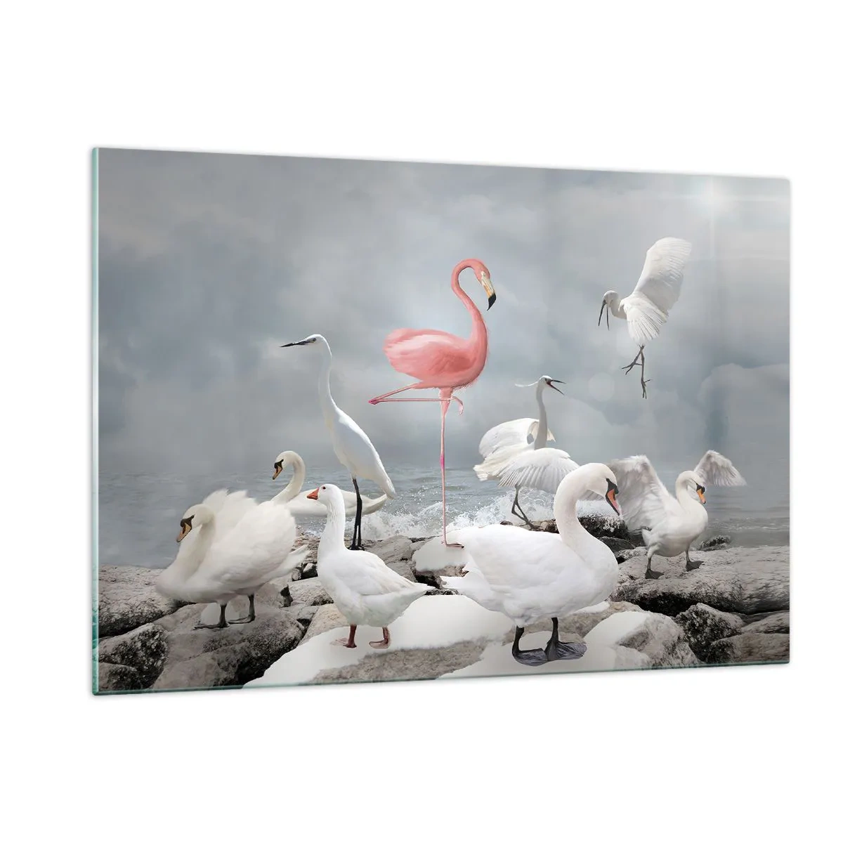 Impression sur verre - Image sur verre - Un flamant rose parmi des cygnes blancs et des hérons contre l'eau - 120x80cm - Comment suis-je arrivé là? - Décoration murale moderne pour le salon et la chambre ARTTOR