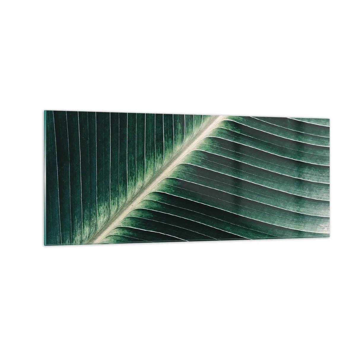 Impression sur verre - Image sur verre - Le rythme de la nature - 100x40 cm