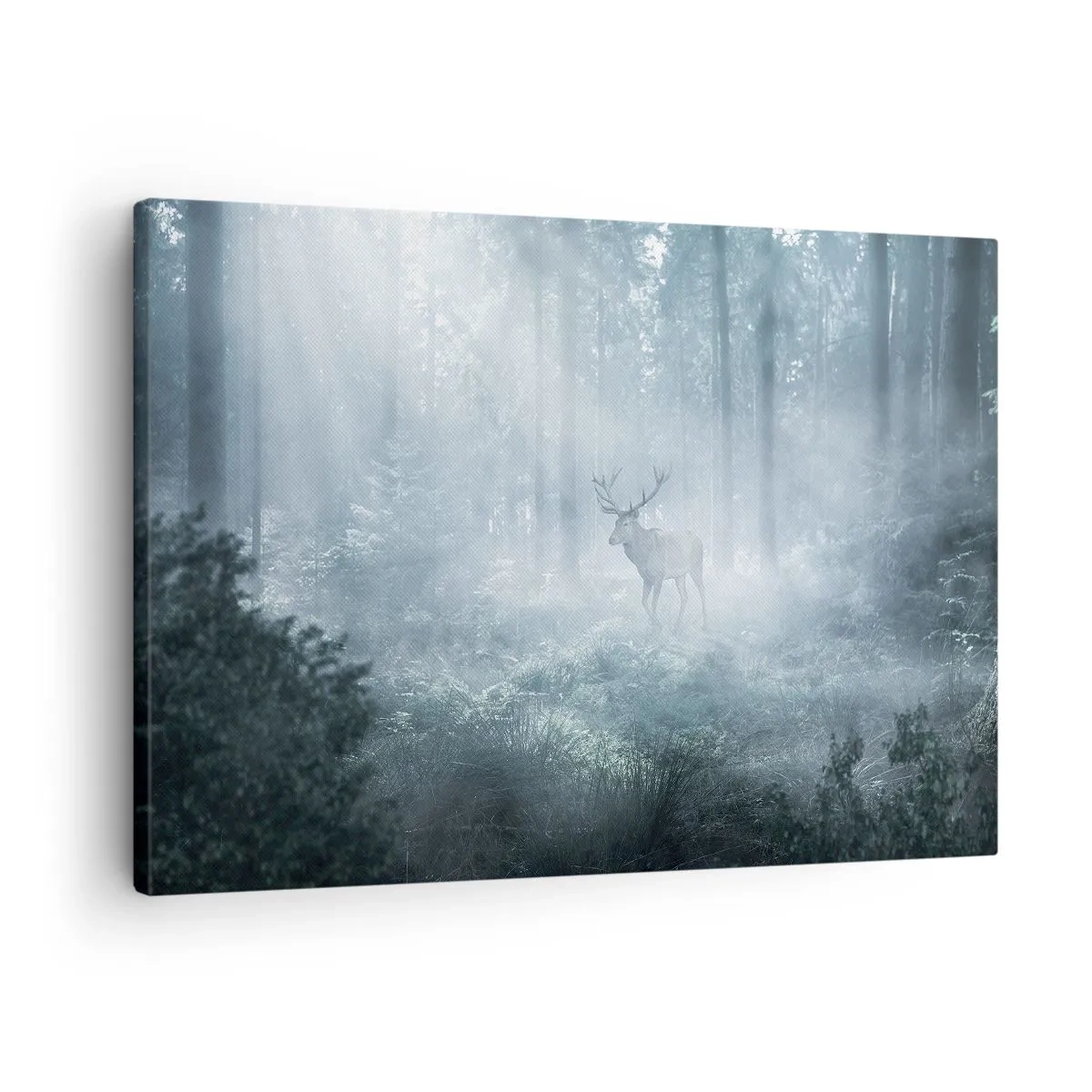 Impression sur toile - Image sur toile - Visite matinale du domaine - 70x50 cm