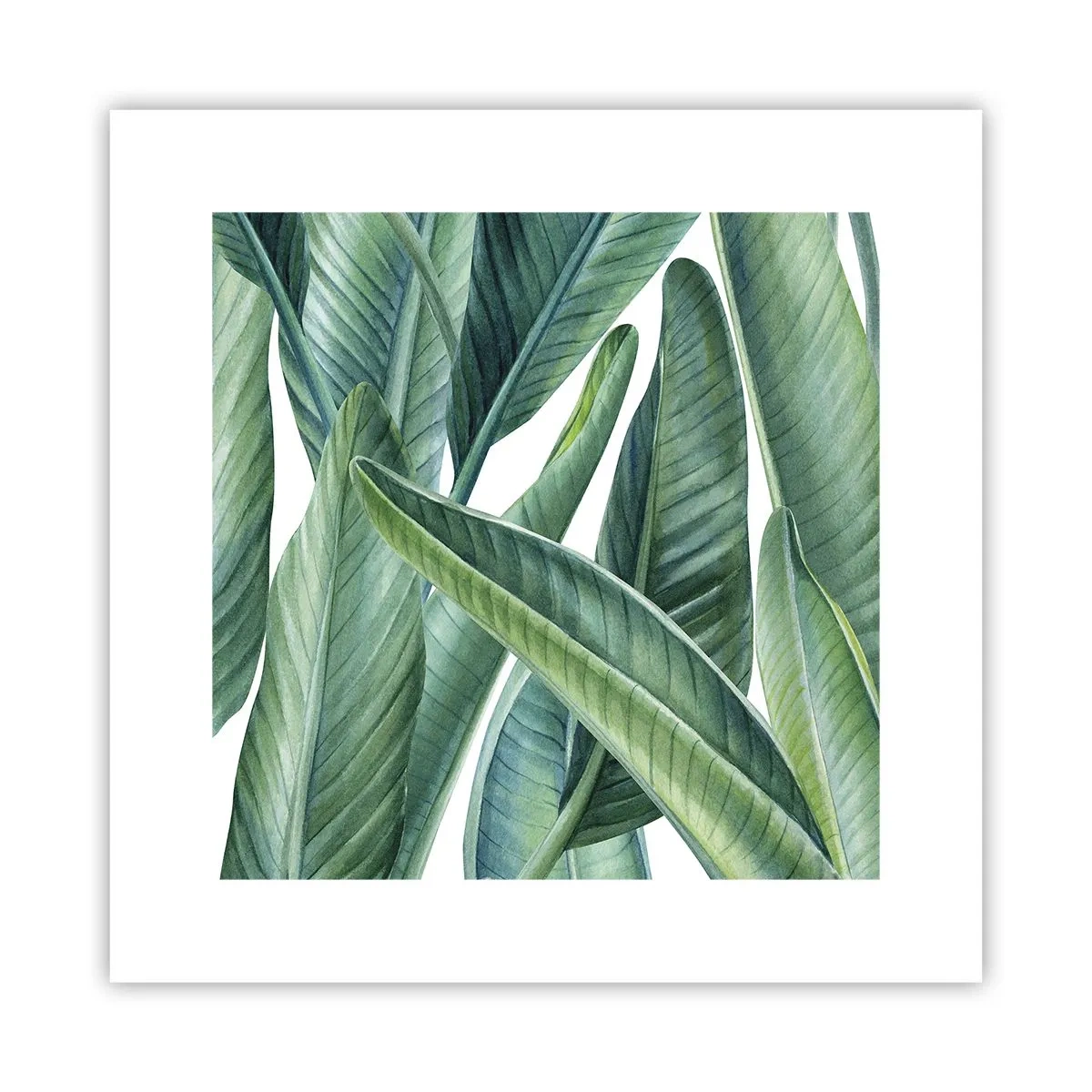 Affiche - Poster - La nature face à elle-même - 30x30 cm