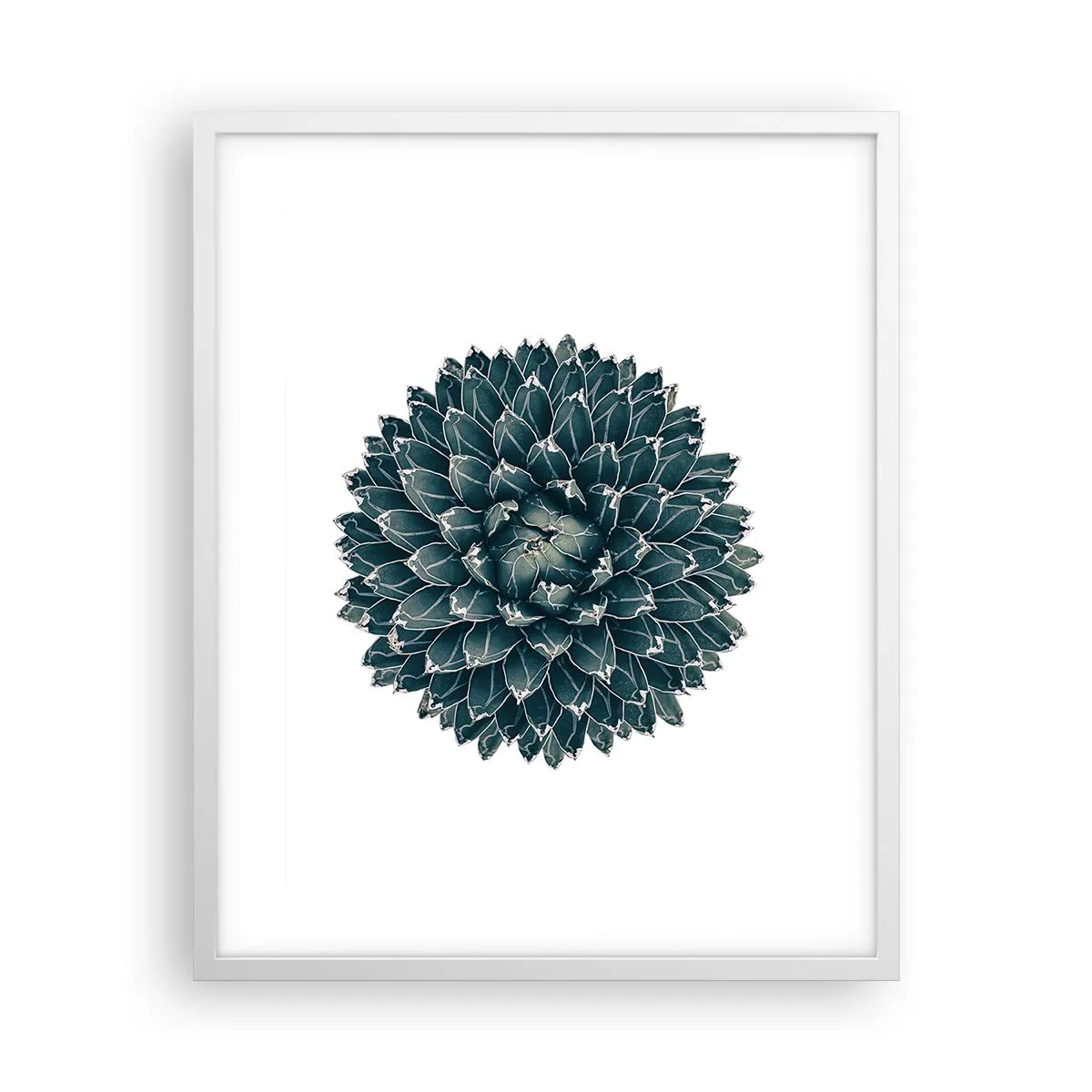 Affiche dans un cadre blanc - Poster - Étoile du désert - 40x50 cm