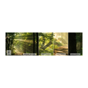 Échantillon de Papier Peint Autocollant Deluxe Sticker - Moment de forêt - Paysage, Forêt, Nature - 100x30 cm