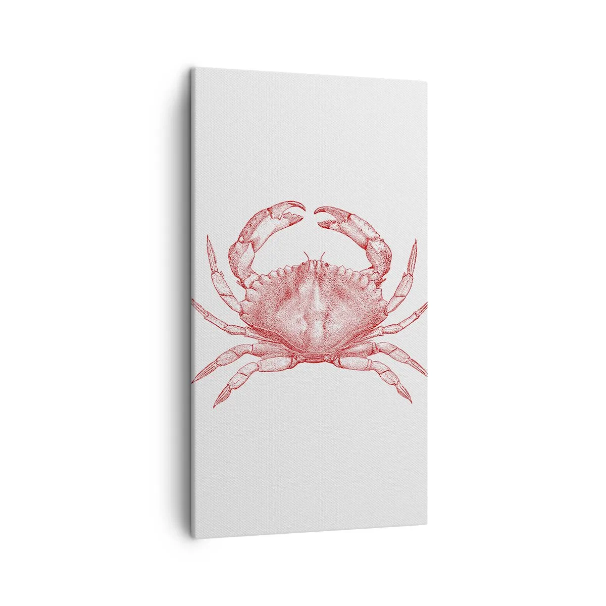 Impression sur toile - Image sur toile - Le crabe des crabes - 45x80 cm