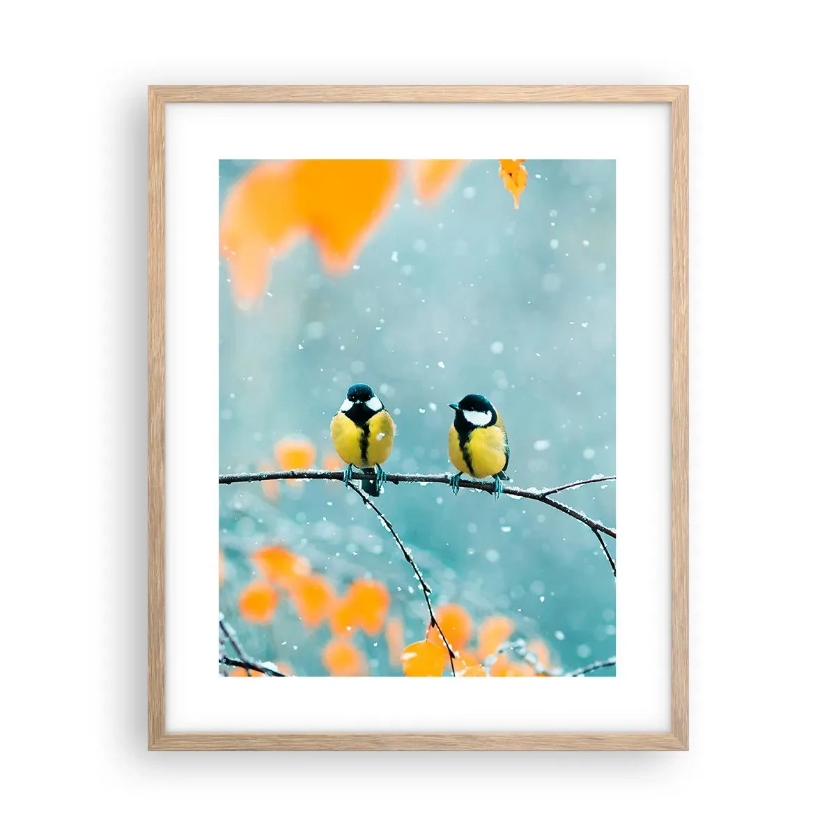 Affiche dans un chêne clair - Poster - Potins d'oiseaux - 40x50 cm