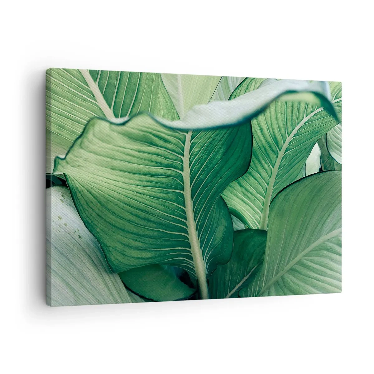 Impression sur toile - Image sur toile - Feuilles vertes avec des détails et une structure expressifs - 70x50cm - Une vie intensément verte - Décoration murale moderne pour le salon et la chambre ARTTOR