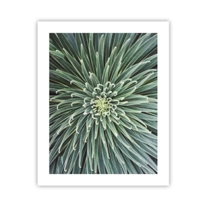 Affiche - Poster - Naissance d'une étoile - 40x50 cm