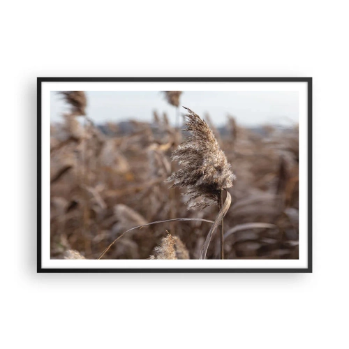 Affiche dans un cadre noir - Poster - Graminées délicates dans des tons beiges sur fond de nature - 100x70cm - Il est temps de s'envoler avec le vent - Décoration murale moderne pour le salon et la chambre ARTTOR