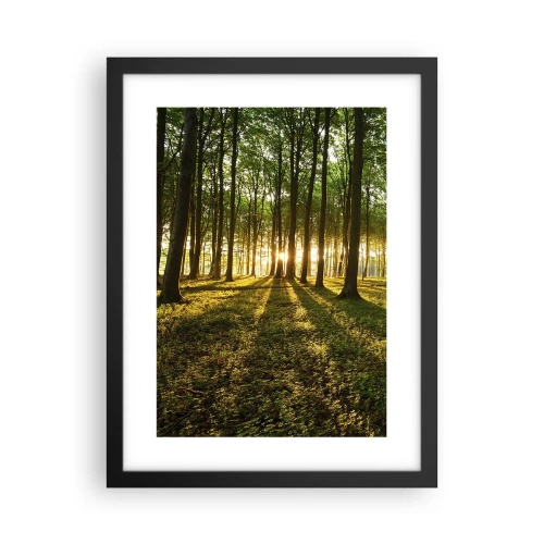 Affiche dans un cadre noir - Poster - Toutes les photographies de printemps - 30x40 cm