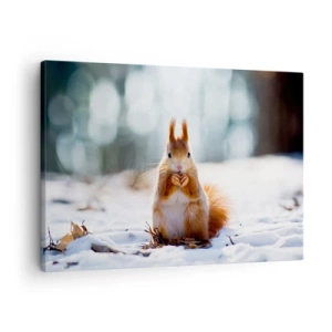 Impression sur toile - Image sur toile - Un écureuil dans un paysage hivernal - 70x50cm - Qu'est ce que tu regardes comme ça? - Décoration murale moderne pour le salon et la chambre ARTTOR