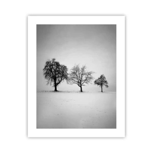 Affiche - Poster - A quoi rêvent-ils? - 40x50 cm