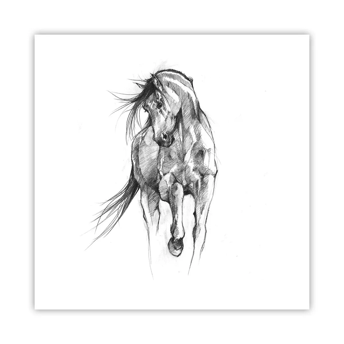 Affiche - Poster - D'un trot gracieux - 60x60 cm