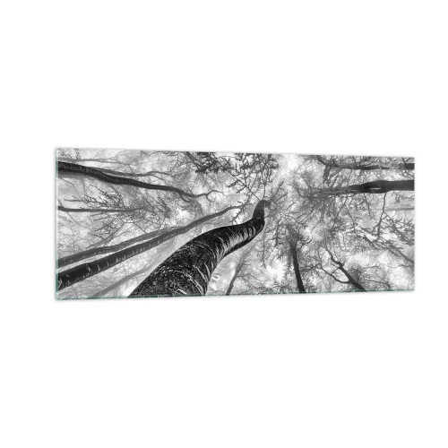 Impression sur verre - Image sur verre - Perspective d'arbres dans une forêt vue d'en bas en nuances de gris - 140x50cm - Course vers la lumière - Décoration murale moderne pour le salon et la chambre ARTTOR