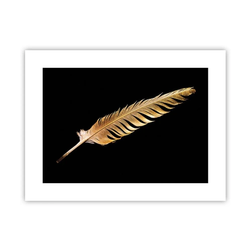 Affiche - Poster - Sans porte-plume - 40x30 cm