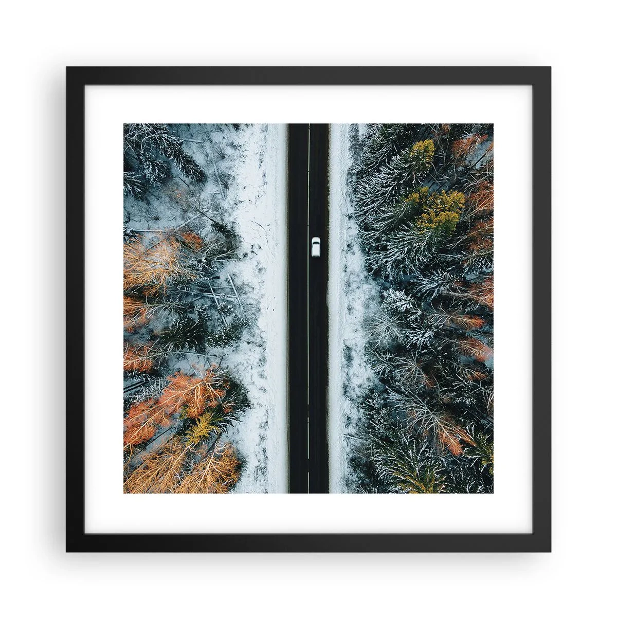 Affiche dans un cadre noir - Poster - Couper à travers la forêt d'hiver - 40x40 cm