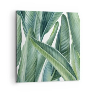 Impression sur toile - Image sur toile - La nature face à elle-même - 60x60 cm