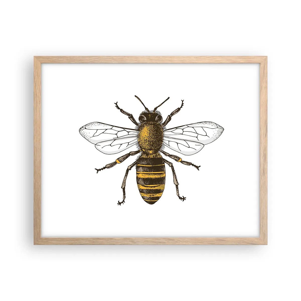 Affiche dans un chêne clair - Poster - Belle et bonne - 50x40 cm